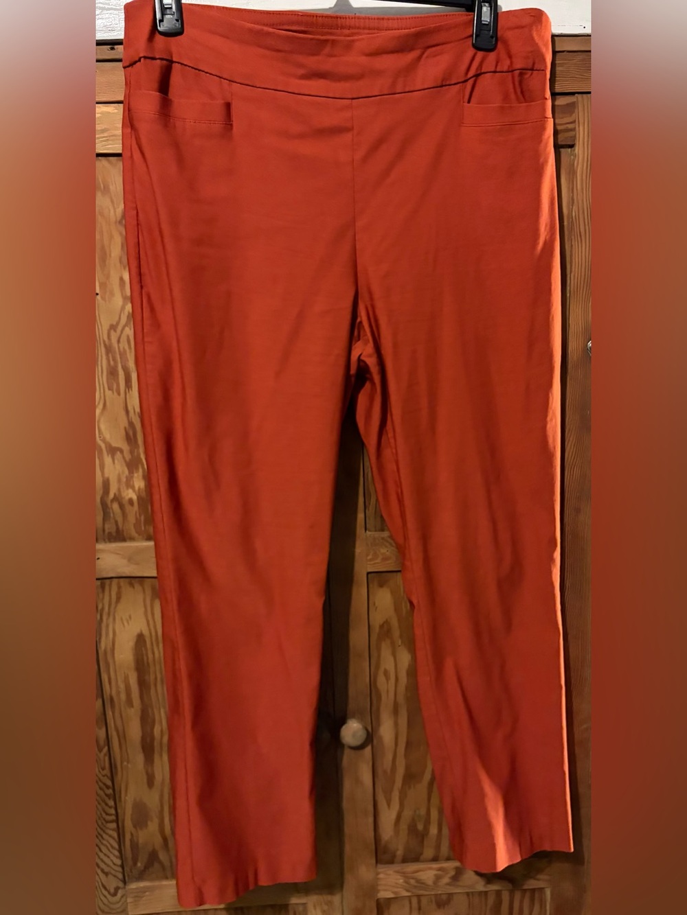 Kim Rogers Burnt Orange Tummy Control Bottoms. 16 short. Rayon blend. EUC.